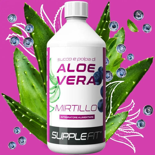 Aloe Vera Heidelbeer Saft INTB010 – 1 Liter mit Fruchtfleisch, antioxidativ & verdauungsfreundlich