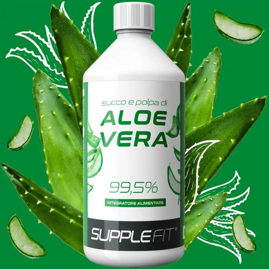 Aloe Vera Saft INTB008 – 99,5 % Gel & Fruchtfleisch aus Barbadensis Miller, 1 Liter Flasche