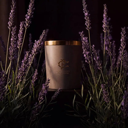 Cooperativa Profumieri LAVÉA Duftkerze vor blühendem Lavendel