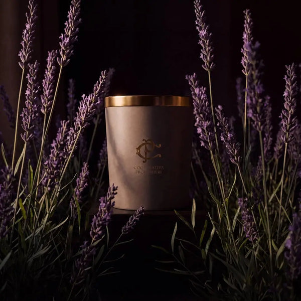 Cooperativa Profumieri LAVÉA Duftkerze vor blühendem Lavendel