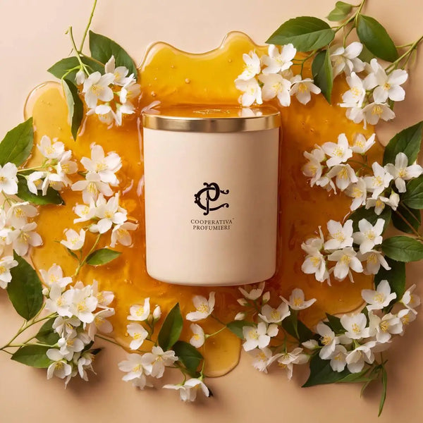 MÉLIA Honey & Jasmine Duftkerze von Cooperativa Profumieri als stilvolle Raumdekoration mit weißen Blüten und Honig