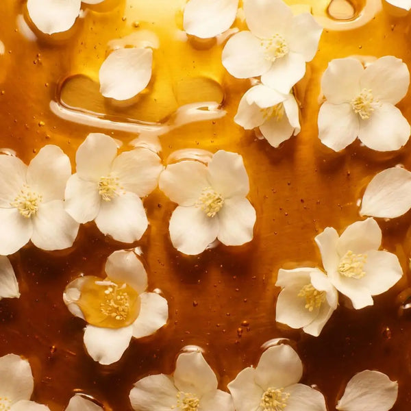Weiße Blüten und Honig als visuelle Darstellung der Duftnoten der MÉLIA Honey & Jasmine Duftkerze