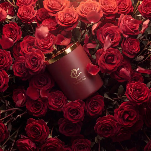 Cooperativa Profumieri ROSÉA Duftkerze zwischen roten Rosen mit bordeauxrotem Gefäß und goldenem Deckel